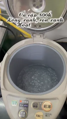 💯 Cặp bình thủy điện ZOJIRUSHI 2.2L 👉 Lòng ron đẹp xuất sắc 👉 hoạt động hoàn hảo mọi chức năng 😍#hangnoidianhatban #binhthuydiennoidianhat #dogiadungnoidianhat 