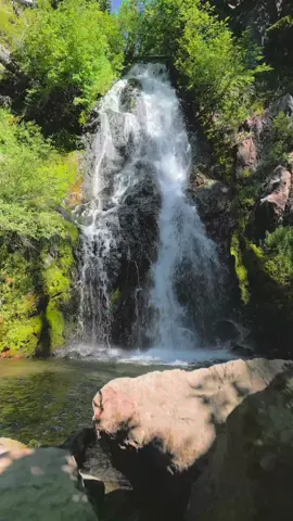 Rising up over mossy cascades and boulders, weaving through the sunlit trees, the forest opens to reveal a stunning waterfall pouring gracefully down the cliffside. The sound of rushing water and the lush greenery surrounding it create a peaceful, immersive moment in the heart of the wilderness 😍
