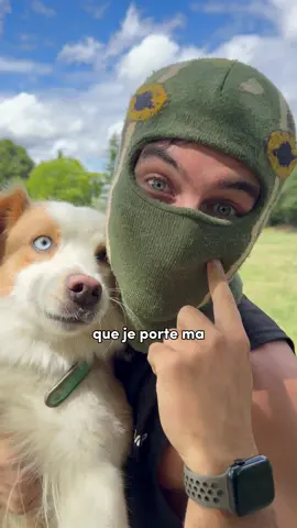 Pixie et moi on va pouvoir commencer le… CANICROSS 🔥 Merci  Canininja 🎁 *produit offert