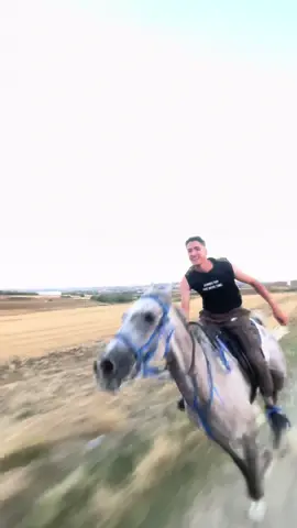 #خيل_وخياله🐎 #ماشاءالله_تبارك_الله #خيل_عربي #خيل #سرعة 