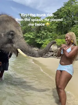 Nobody warned me the VIP package included a shower 🐘💦 #funnyvideos #elephant #elephants #elephantfunny #trending