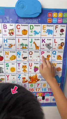Your child also needs this bilingual talking wall chart,right?🎶😘😘😘#bilingualkids #LanguageLearning #words #learningspanish #englishwords 