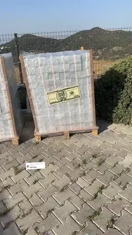 Replying to @user550850282059 foryou#virlvideo #unfreezemyacount 