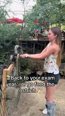 Back to your exam year… or go feed the ostrich🍢📚#viraltiktok #fyp #usa #study #animals 