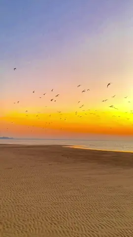 Pantai + Sunset + Burung beterbangan = Keindahan yang tidak dapat didustakan. Tapi sayangnya, karena saking terpukau dengan keindahan ini rekaman video tidak begitu panjang😭🥺 #pantaibajorote #pantaioenggaerote #roteisland🌴 
