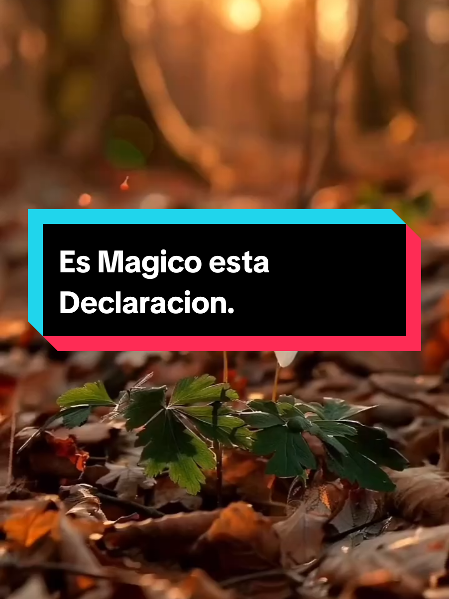 Hazlo todos los dias frente al espejo y declara esta afirmacion. #afirmaciones #declaracion #fisicaquantica #dios #abundancia 