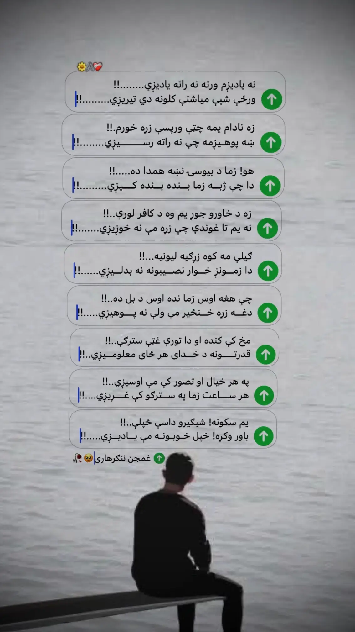#ملتیا_مې_وکړئ📚  #Ghamjun_Nangarhari🥹🥀  #tiktokafghanistan🇦🇫  #support_me 