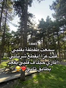 😂❤️‍🔥#fyp #fypシ #مح؟مد🙂‍↔️ #muamm😜 #viral 
