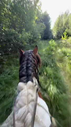 abschalten. #horsegirl #ausreiten #foryou #equestrian #fyp 