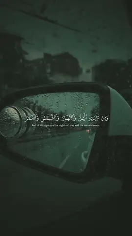 فصلت - #ياسر_الدوسري #قران_كريم #quran_alkarim 