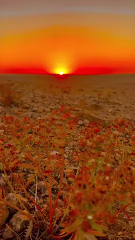 #günbatımı🧡 #kürtceşarkılar #güzelvideolarvar🤗🌼🌹🦋 #storyvideoları📌 #tiktokviral 