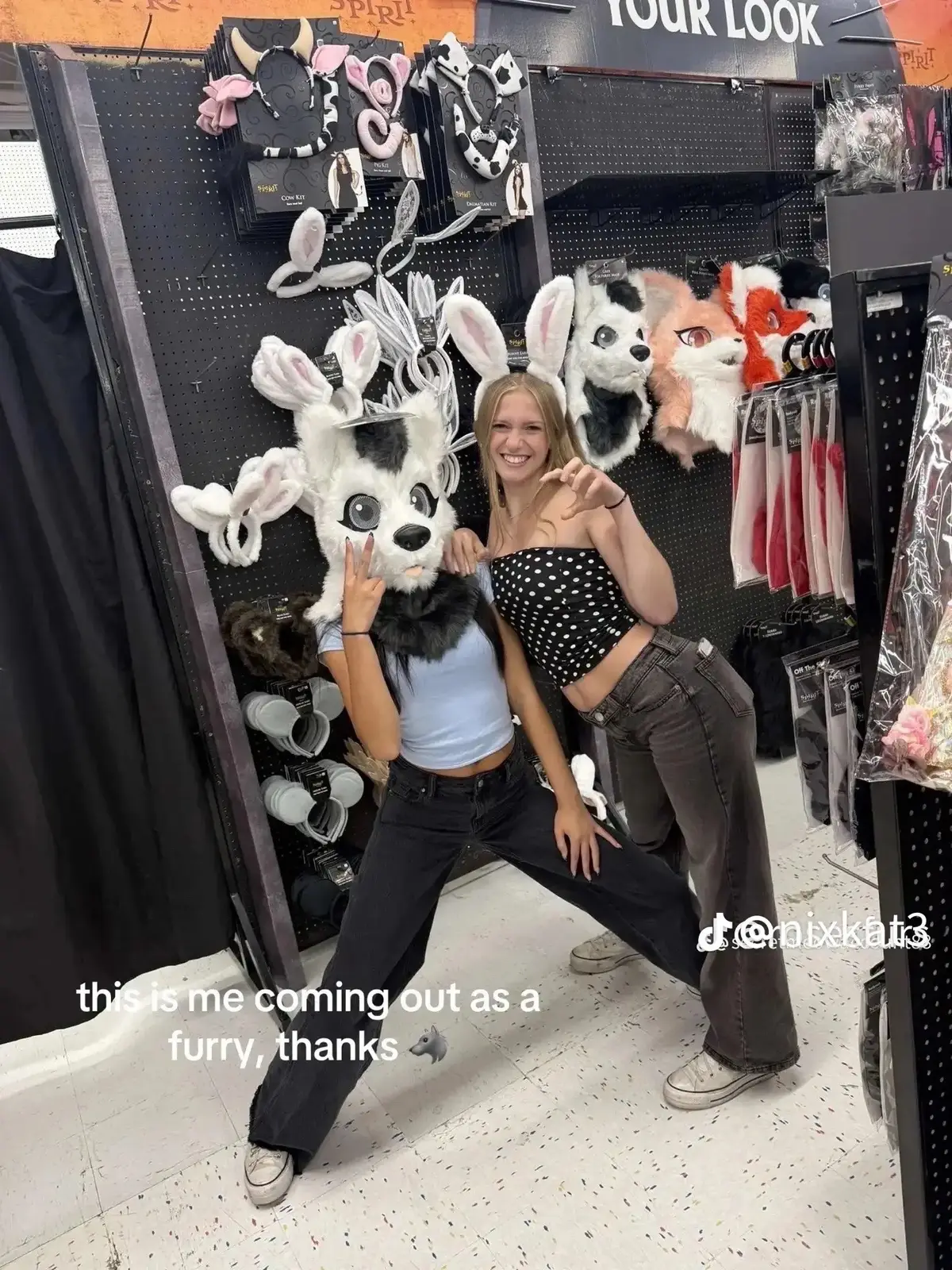 #furry #fursuit #furrydelphia #foryoupage #furrytiktok 