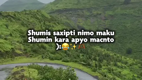 i CodeY qalpi 😂🫶🏾#jawi_bila #jawi_bila🌊❤️🌴 