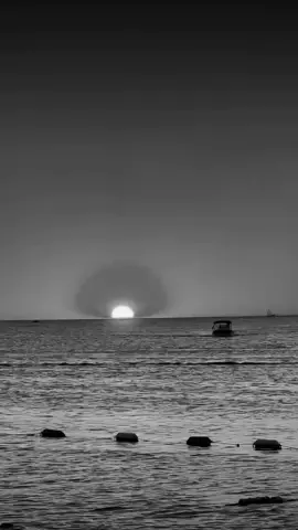 #شعراء_وذواقين_الشعر_الشعبي 