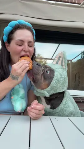 Healthy lunch with my Latooftoof 🩵 @Wontonthebulldog #fyp #foryou #foryoupage #voorjou #voorjoupagina #marenraffieodincupcake #marenenraffie #vj #bundleofbullies 