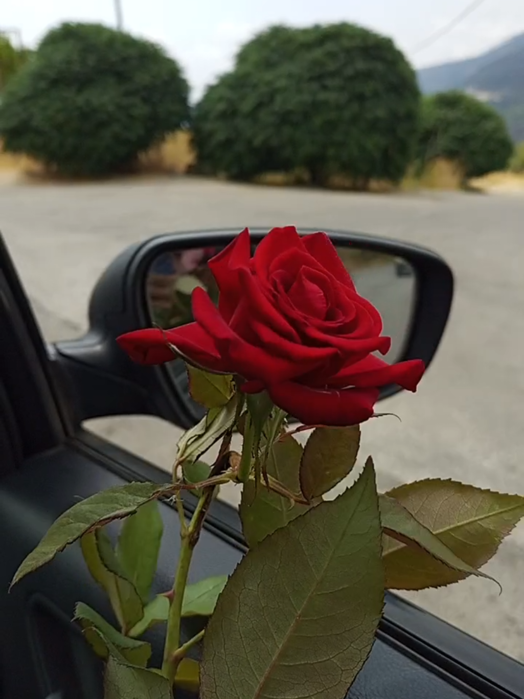 دكتور شوف قليبي لا تكتبلي راشيته  #اكسبلور #ترند #تصويري #lavendr81 #العراق_السعوديه_الاردن_الخليج 