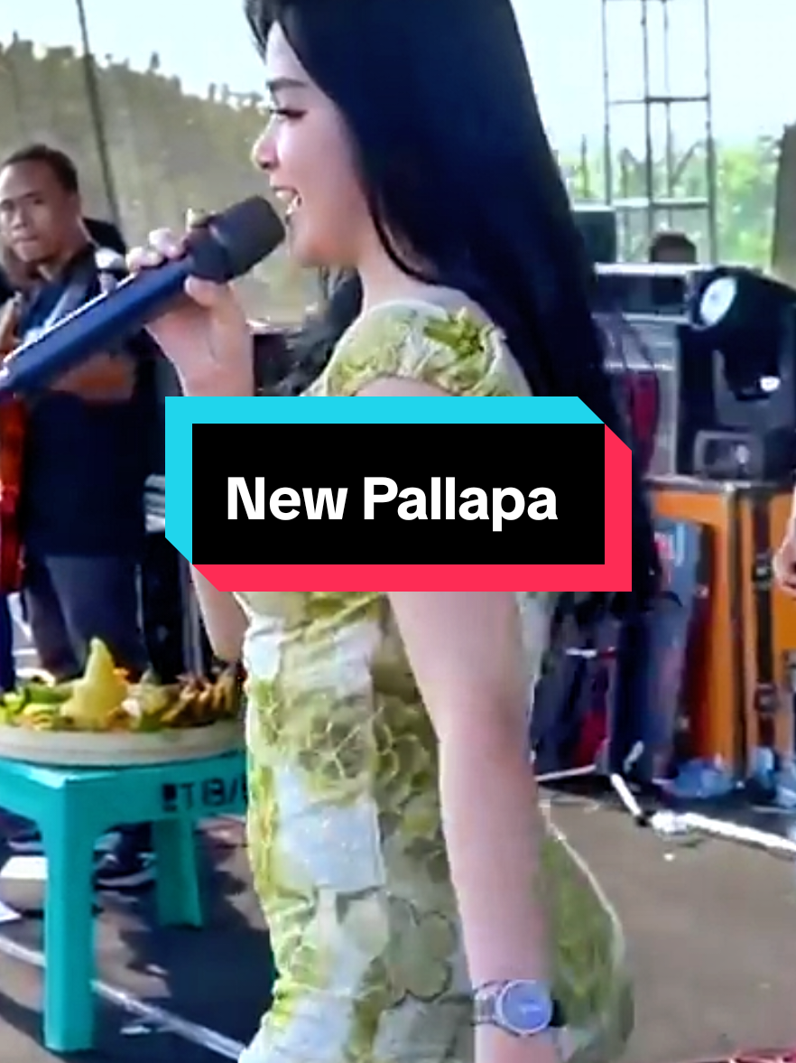 Jangan Dendam #lailaayu #newpallapa #garducommunity #snpindonesia #ramayanasoundsystem 
