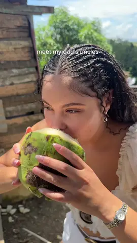 Our last day in el campo 🥹🛖🐖🐓🐎 #elcampo #countryside #dominicanrepublic #santiagodeloscaballeros 