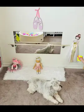 DYI ballet barre 🩰 #babygirl #babyballet #dyi #balletbarre 