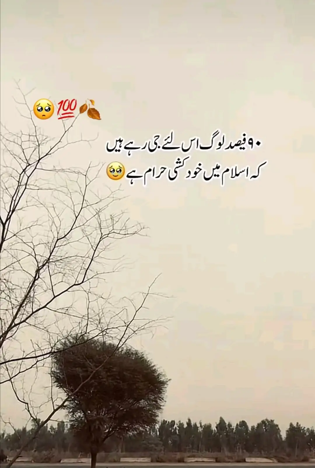 #BariEid #vrial_video #unfrezzmyaccount #trending #sadzindagi 