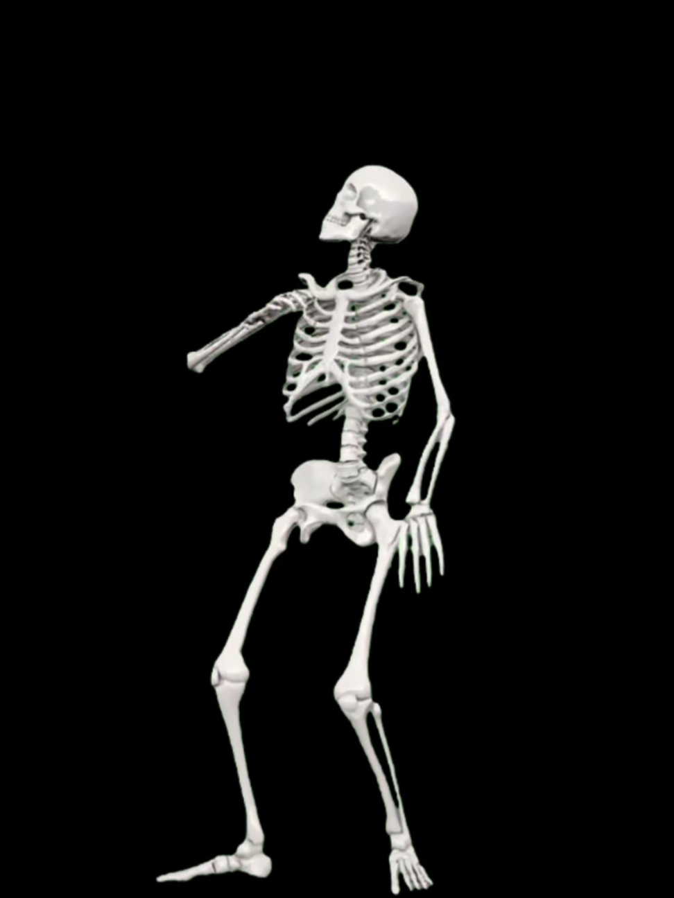أزاى تحفظ أسامي العظام فى ال Anatomy  #pharmacist #doctor #student #pharmacy #study 