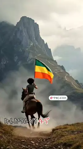 #አማራዬ💚💛❤አማራዬ💚💛❤ #amharatiktok #ፋኖመከታቺን💚💛❤💪💪✅ቤተአማራ💚💛❤✊💒❤🤝❤🕌 #viraltiktok #foryou 