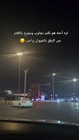#😂😂😂 #🤗👌  #المنطقة_الخضراء #تصويري #capcut    