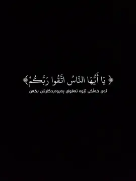 ‎(رابط تلیجرامي موجود فی بایو)-(لینکی تێلیگرام لە بیۆی  ‎پەیجە)  عبدالباسط_سورةلقمان #القران_الكريم #قورئان_ئارامی_دڵان🕋📿 #fpy #foruyou #islam_is_peace20   