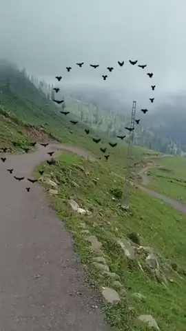 #viralvideo #foryoupage #fypシ゚viral #🎄🎄🎄 