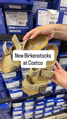 🚨Spotted New Birkenstocks at Costco this week and im excited for this Summer find! They are such a good deal at Costco I bought some a few years back and I love them!! Only $69.99. Share these with someone that would love these and follow for more new Costco finds  #costconew #costco #costcodeals #costcofinds #costcomusthaves #costconewproducts #costcohaul #costcomusthaves  