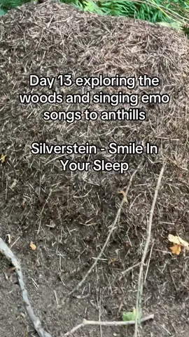 Day 13 - ant in your hill  #emo #silverstein #autism #mcr #screaming 