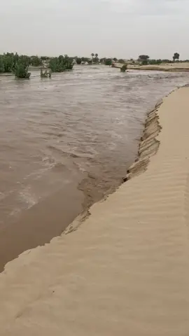 #اكسبلورexplore #نجران 