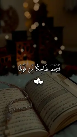 #فتبسم_ضاحكاً_من_قولها #quran #quran_alkarim #القرأن_الكريم #فارس_عباد 