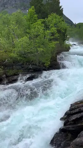 #الجهني #قل_لمن_الأرض_ومن_فيها_إن_كنتم_تعلمون #تلاوة_خاشعة 