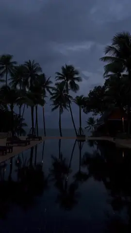 🌴