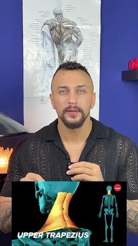 لەڕێگەی گرژبونی شان و ئازاری بەردەوام جەستە هەوڵدەدات پەیامی چی بگەیەنێت؟ هۆکاری سەرەکی گرژبونی شان و مل چیە؟ تائێستا وات لێ بەسەر هاتوە ؟ بینەری ئەم ڤیدۆیە بەو زانیاری گرنگ ببیستە لەسەر گرژبونی شان و ئازاری بەردەوام  لایکی ئەم پۆستەم بۆ بکە تا زۆر ترین کەس بیبینێت📚