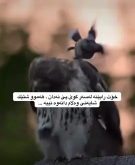 #d_shex #foryoupage #explore 