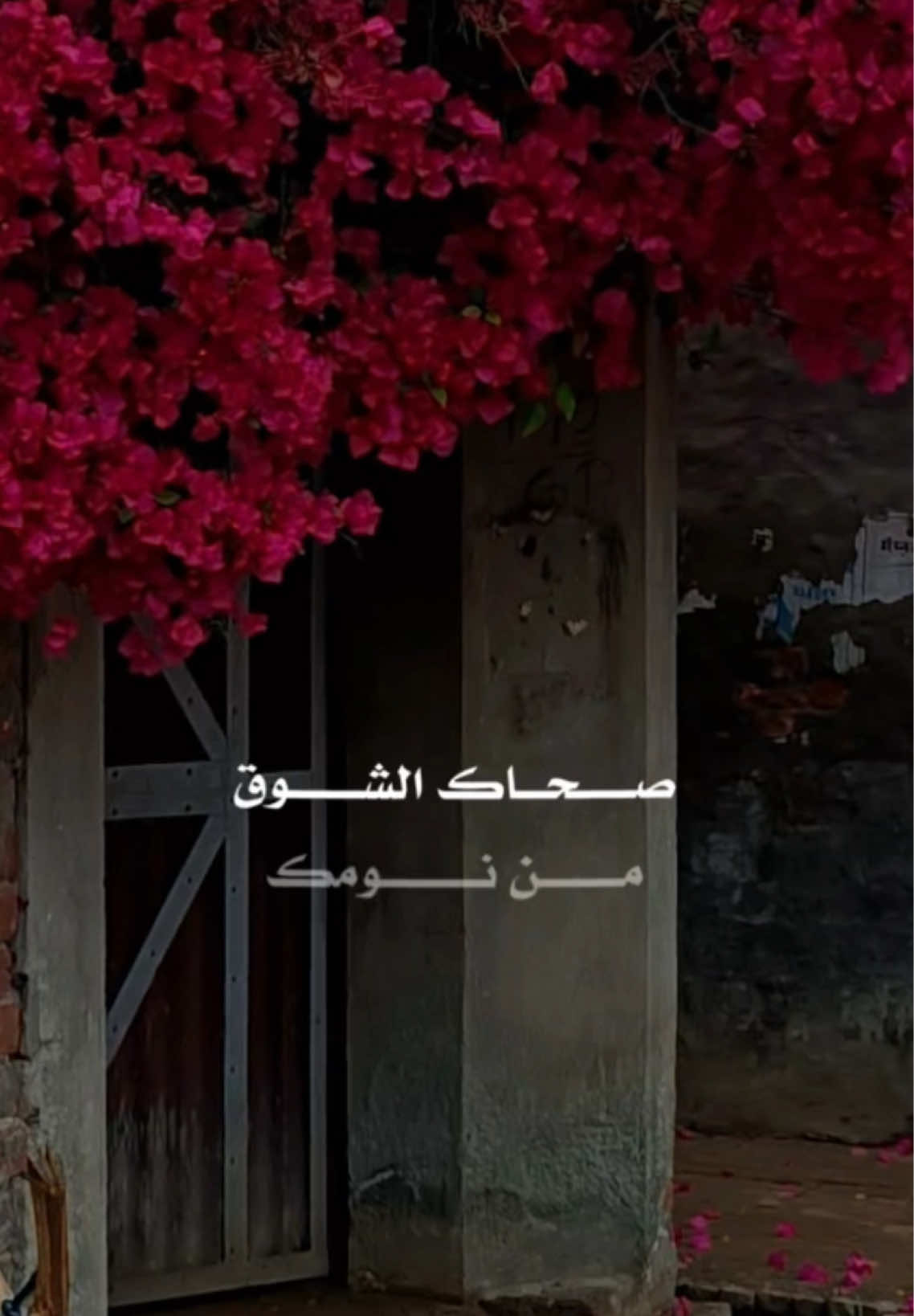 صحاك الشوق من نومك❤️وبقلبي تعا كفي نومك❤️لا يومي يخلص ولا يومك❤️إلا بلقاك يا حبيبي❤️ #صحاك_الشوق #فضل_شاكر #فضل_شاكر_🎶🎵🎤🔚 #تصميم_فيديوهات🎶🎤🎬 #اكسبلور 