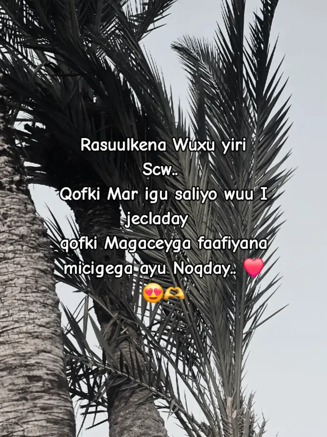 Scw..#foryoupage❤️❤️ #viraltiktok #scw_kusaliya_nabiga_scw 