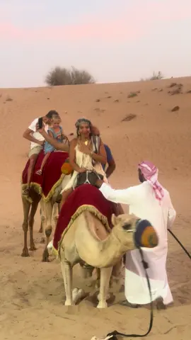 Booking Reservation 📲☎️ -Contact Us Now | Book Your Trip Now . 🏜️Desert safari  ☎️📲WhatsApp: +971501792333 *Everyday* ⏰Pick up Time: 3:30 - 4:00PM ⏰Drop Back Time: 10:00 - 10:30 PM Desert Safari Package Includes: *  Pick and Drop from your hotel/home. (Shared and private car both available) 🚗Red Sand Dune Bashing In At High Dunes. *  7+ Live Entertainment Shows  💃2 Belly Dance 🔥2 Fire Show                                                           🕺2 Tanoura Show, Yalla Dance, Mascot Show 🐫Short Camel Ride.  🏂Sand Boarding ✋ Henna Tattoo for Ladies/Kids  ☕️ Unlimited Water, Soft drinks, Tea & Coffee in camp 🏕️  📸Sunset Photography (with your own camera) 🍟I 15+ items Buffet Dinner, Vegetarian & Non-Vegetarian with BBQ *Free Arabic hookah in a designated area. Up to 3 years old kids are free /OUT Quad bike and buggy tour(extra cost) Licensed and Professional Drivers. Licensed Company In Dubai Tourism Depart. Sanitized Vehicles. 🚗  Separate Toilets for Men and women. • Neat and Clean Desert Camp.🏕️  NOTE: *No Cancellation Or any other Changes at same day. That will be fully charged* Desert Safari Dubai🏜️ T #dubai #mydubai #dubailife #dubaimall #dubaifashion #dubaimarina #dubaistyle #dubaiblogger #dubailifestyle #visitdubai #dubaievents #dubaiinstagram #instadubai #downtowndubai #dubaiphotographer #dubailuxury #dubaifashionblogger #lovedubai #dubaibloggers #indubai #dubaidesert #burjkhalifa #burjalarab #desert #desertsafari #desertdubai #dubaimall