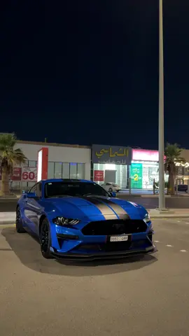 ماشاء الله تبارك الله 🫐 #explore #fyp #mustang 