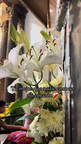 #jesus #esquipulas🇬🇹 #amor #catolicostiktok🥰🫶🏻 Amor de los amores 