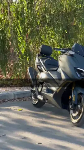 #كلنا_سباع_من_الغربيه🖤💫 #تصميم_فيديوهات🎶🎤🎬 #تمكسات🥷🖤 #افنوعيم🏍♥️ #عباراتكم_الفخمه📿📌❤️ 