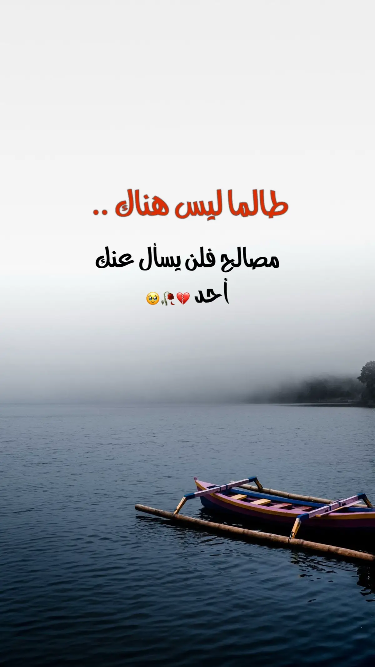 #عبارات #اعادة_النشر🔃 #اكسبلور 