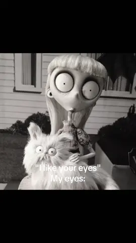Big eyes that stare #bigeyes #fyp 