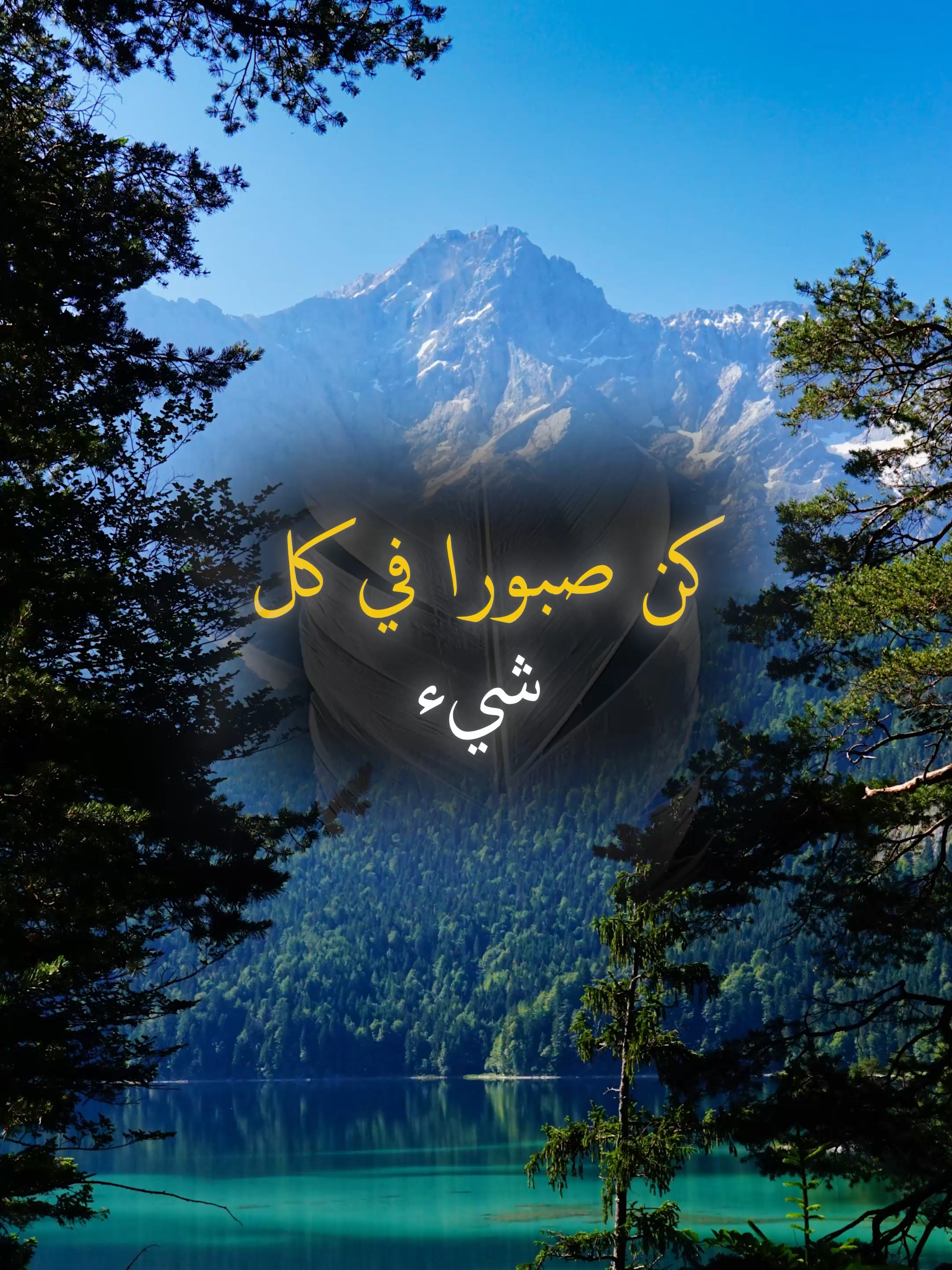 كن صبورا في كل شيء#خواطر #علم_النفس #اكسبلور #تطوير_الذات #كلام_من_ذهب #اطمئن #حكمة #تحفيزات_إيجابية #اقتباسات_عبارات_خواطر #نجاح #motivation #fyp #explore #psychology #viral_video #اقتباسات