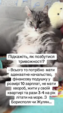 І щоб війни не було… і ковіду #колизакінчитьсявійна #війнавукраїні #тривожність #тривожнийрозлад #депресія 