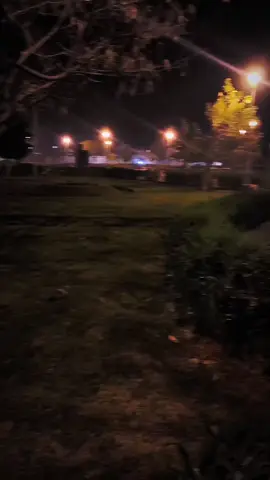 gonzalo genek - para no volverlo hacer #4puntosbeatz #gonzalogenek #licoramoryjazz #musica #tuvieja 