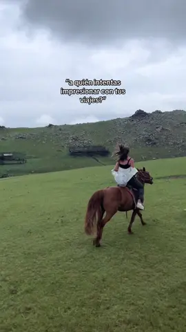 Otro post de apreciación para mini pam. 💛💐