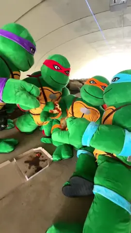 Pizza with the bros 🍕 #tmnt #teenagemutantninjaturtles #ninjaturtles #pizza #splinter 
